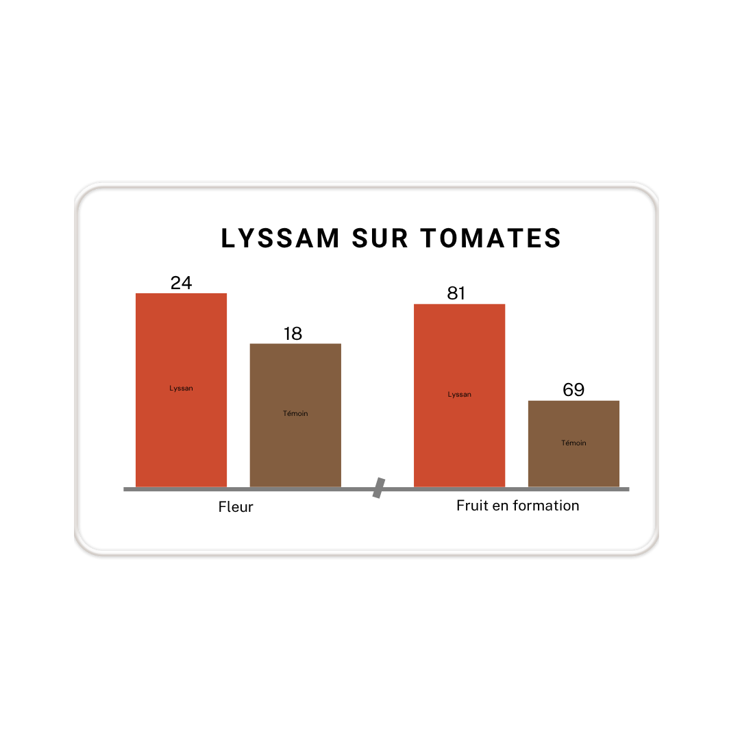 LYSSAM pour floraison, nouaison et calibre