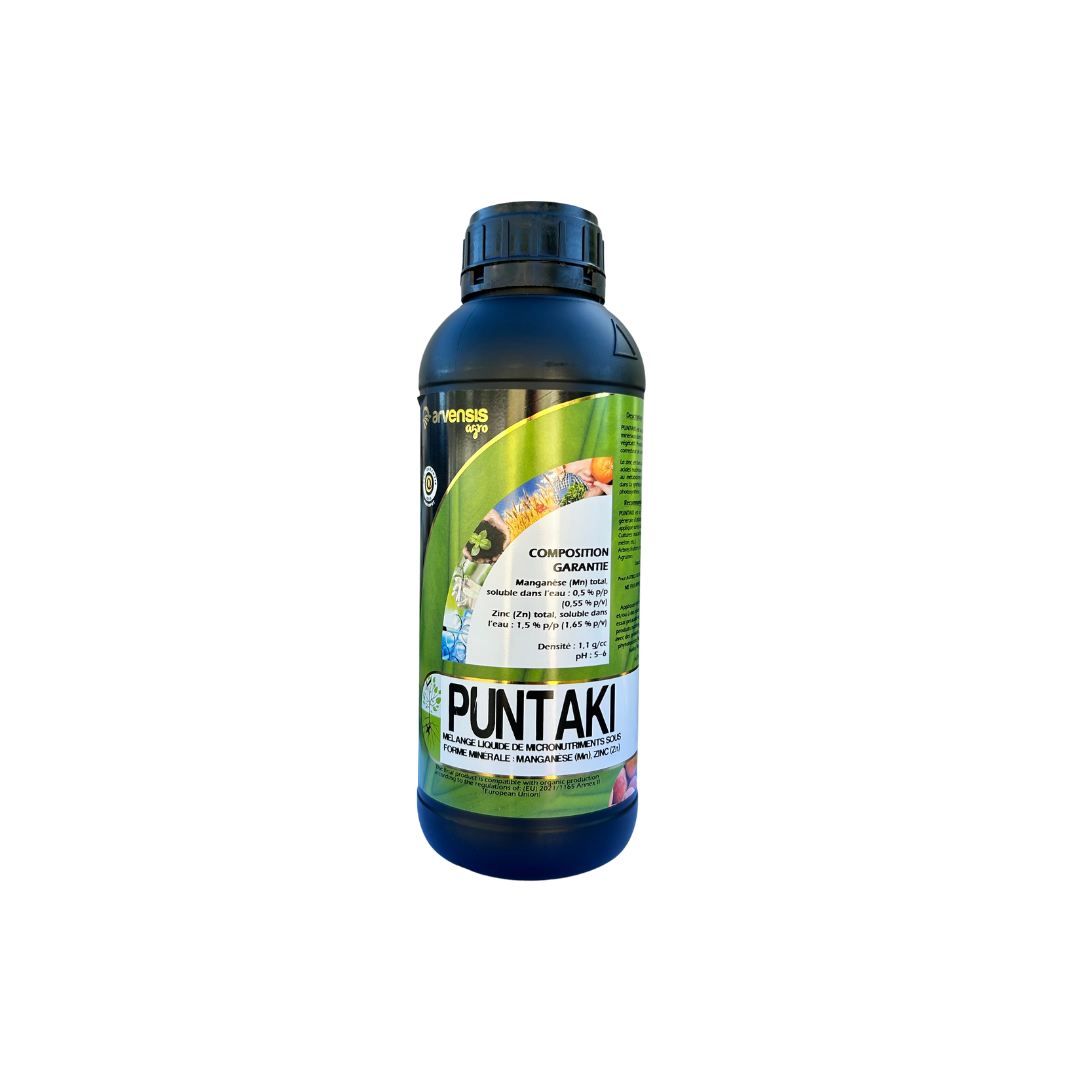 PUNTAKI
