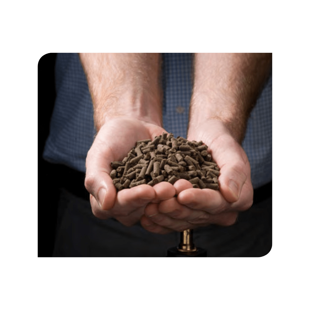 ORGEVIT 3.3.6 - VéG'écho Natur