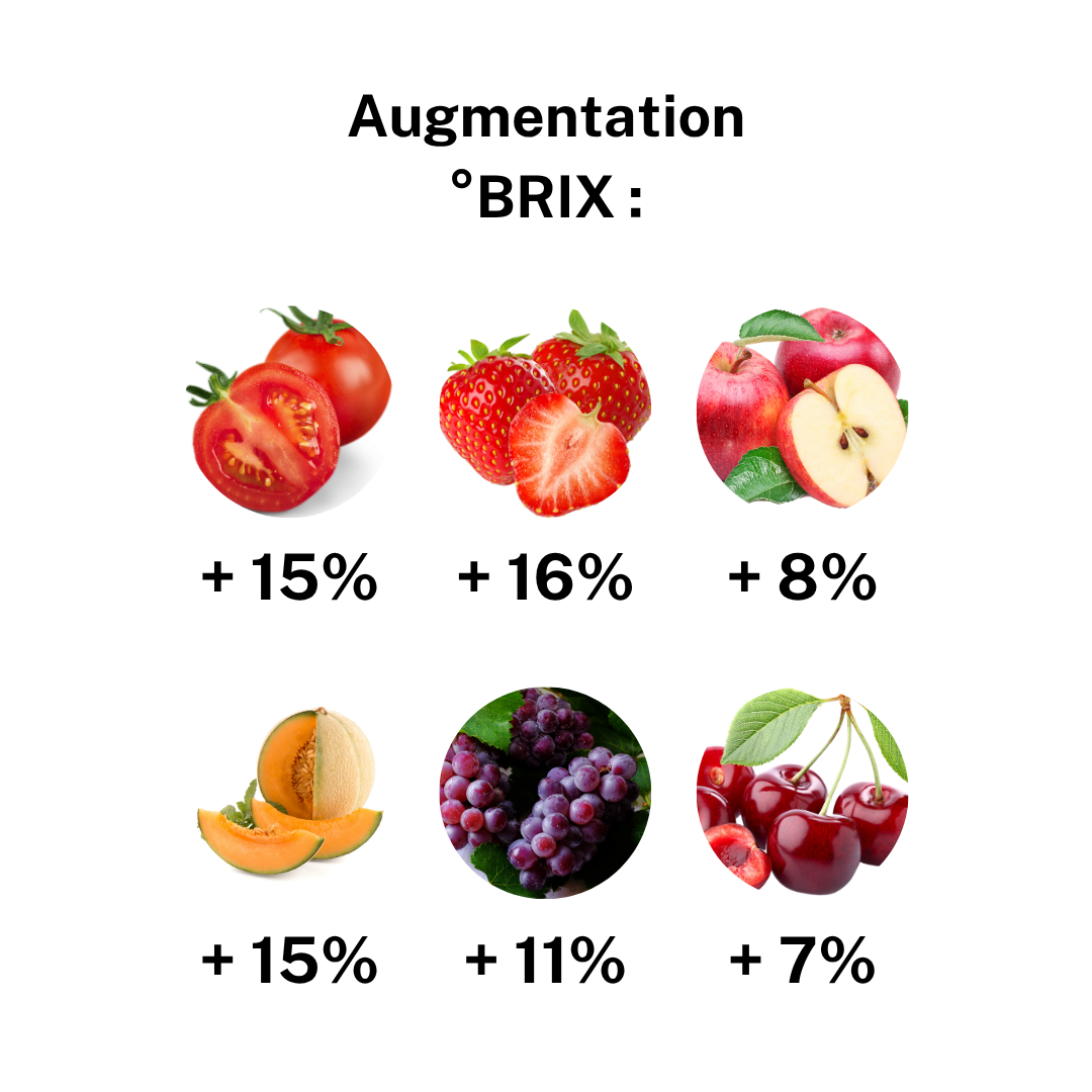SUGAR TRANSFER - Augmentation °Brix
