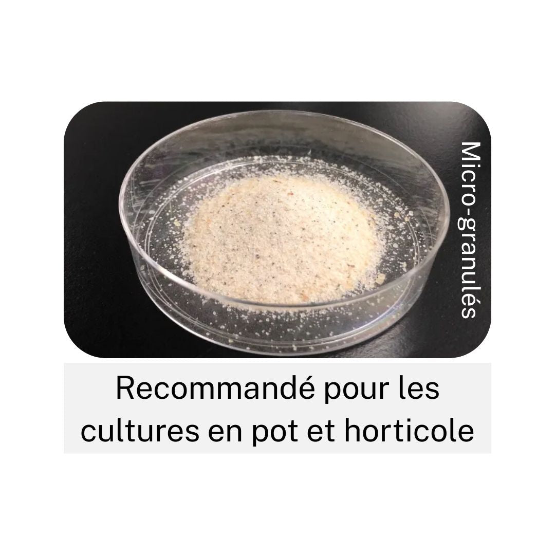 EF POLYMER - Granulés super absorbants