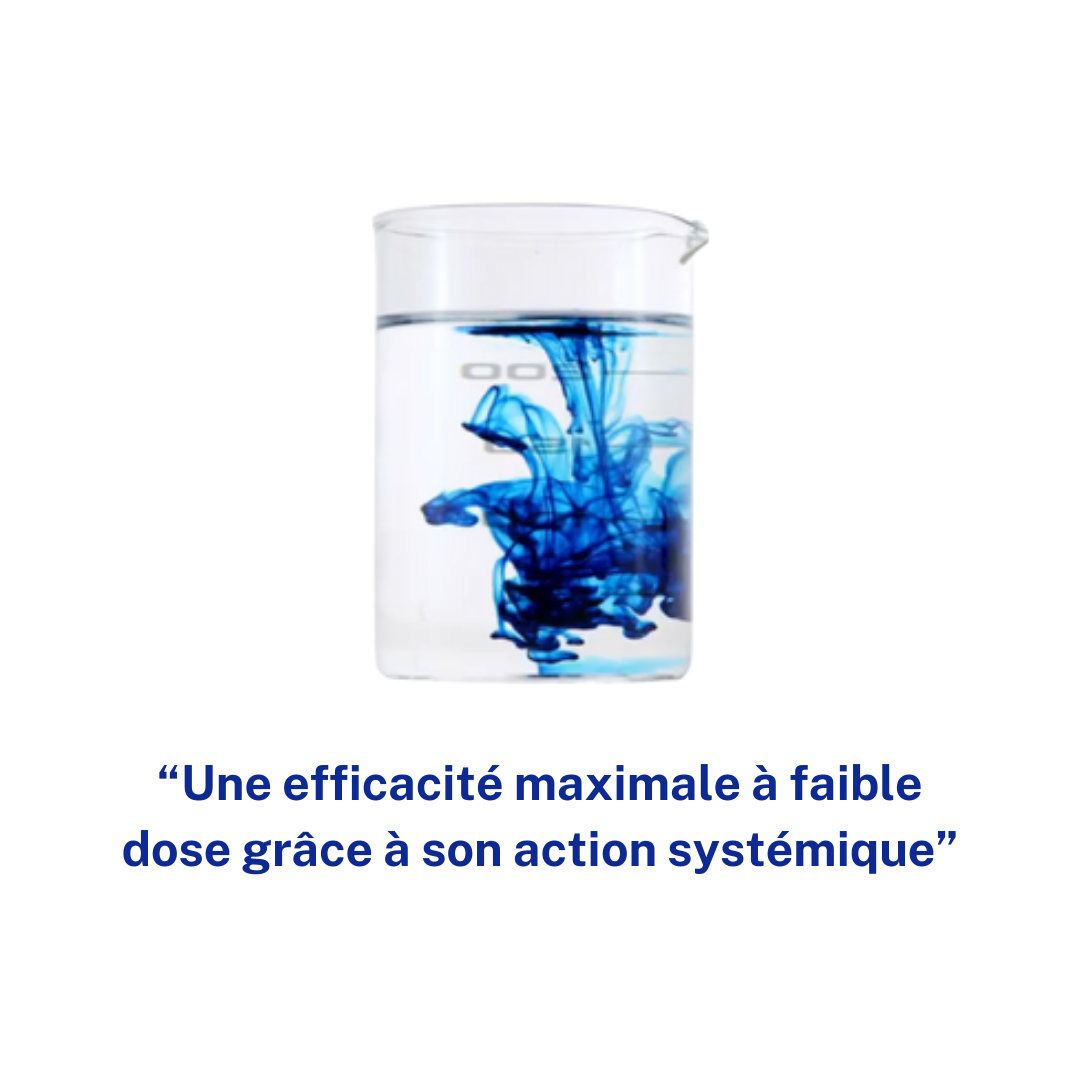 GLOPPER - Cuivre liquide 100% Assimilable