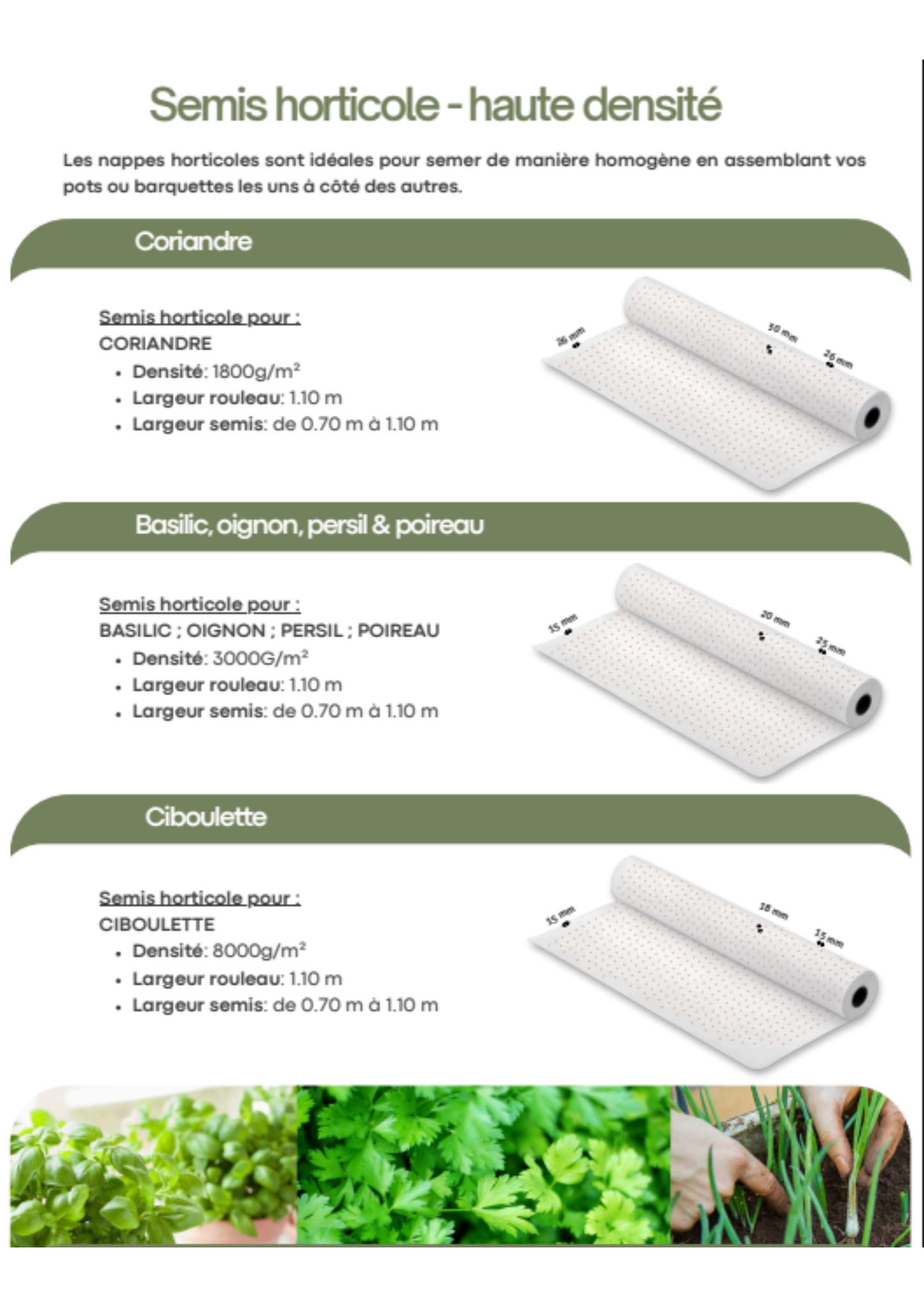 FiloGraine - Papier ensemencé - semis horticole