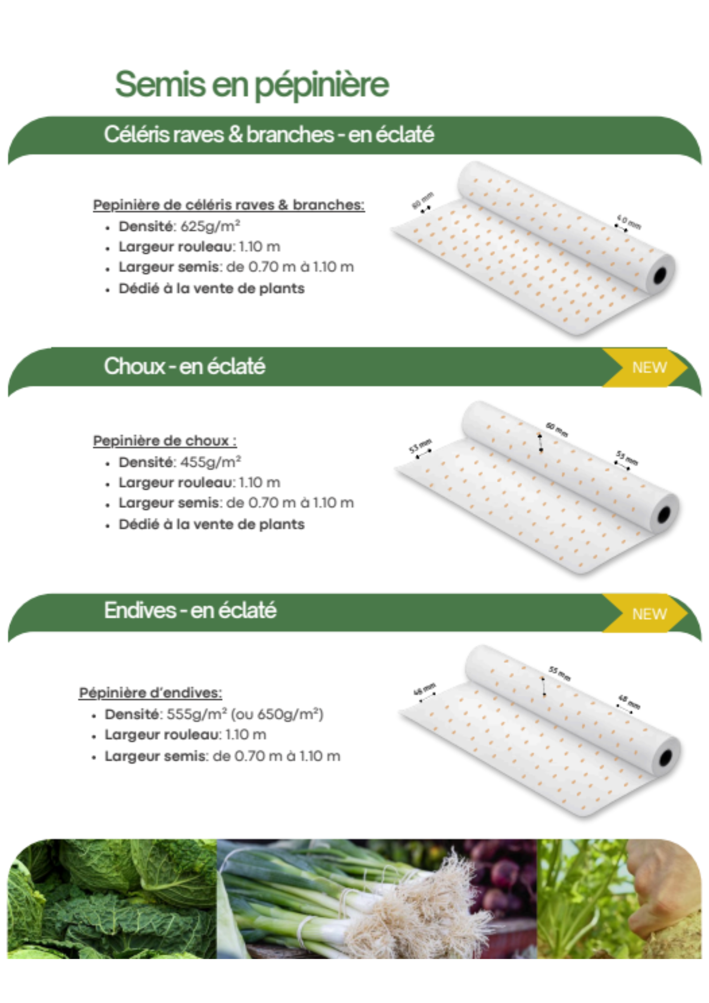 FiloGraine - Papier ensemencé - Plants de pépinière