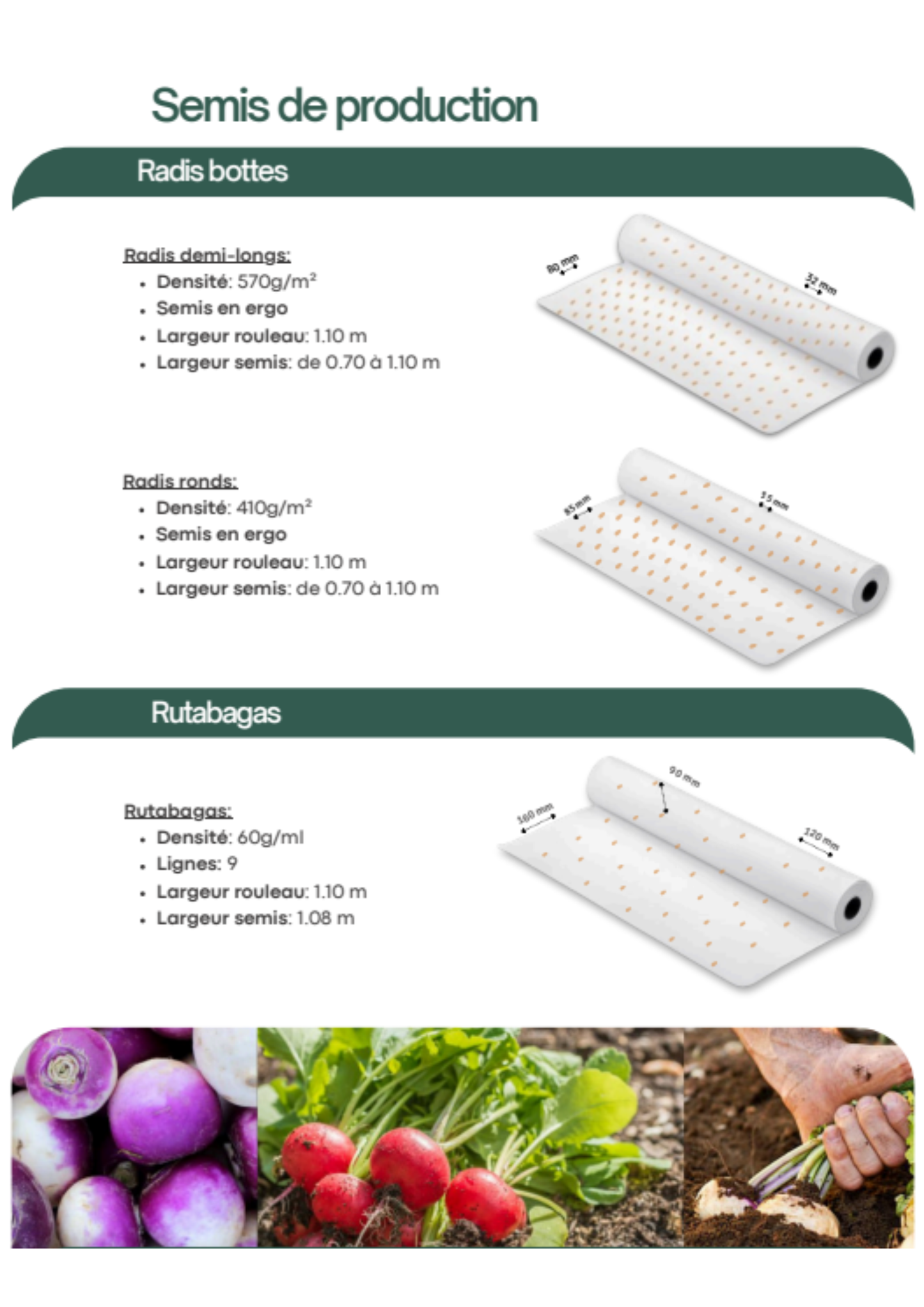 FiloGraine - Papier ensemencé - Maraichage