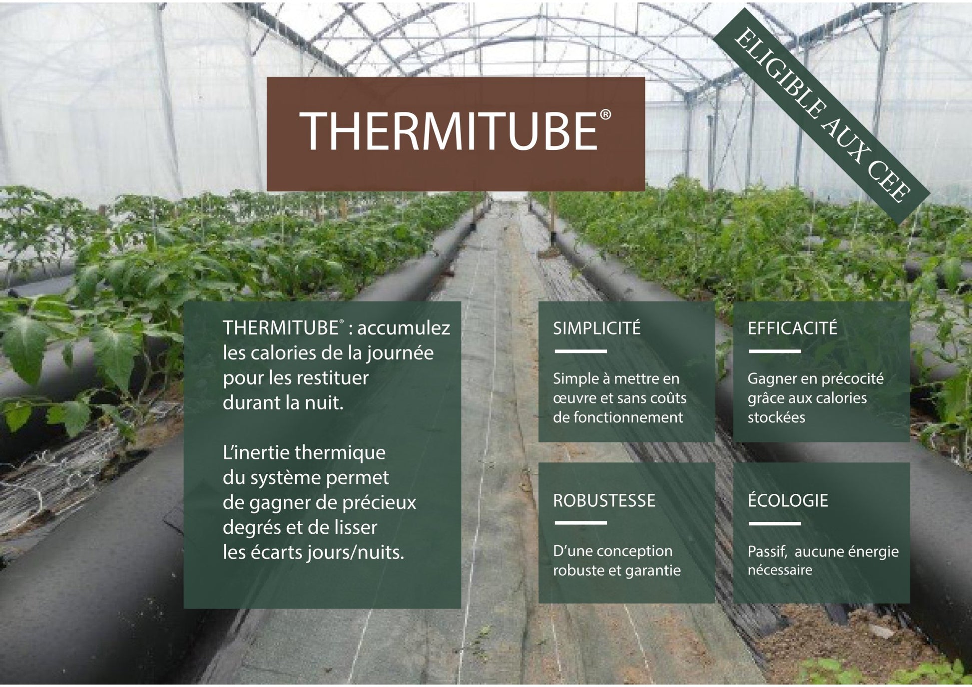 THERMITUBE - VéG'écho Natur